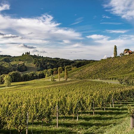 Ferienwohnungen Weingut Familie Danko กัมลิทซ์ ภายนอก รูปภาพ