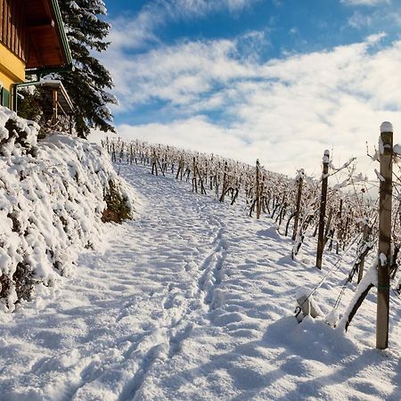 Ferienwohnungen Weingut Familie Danko กัมลิทซ์ ภายนอก รูปภาพ