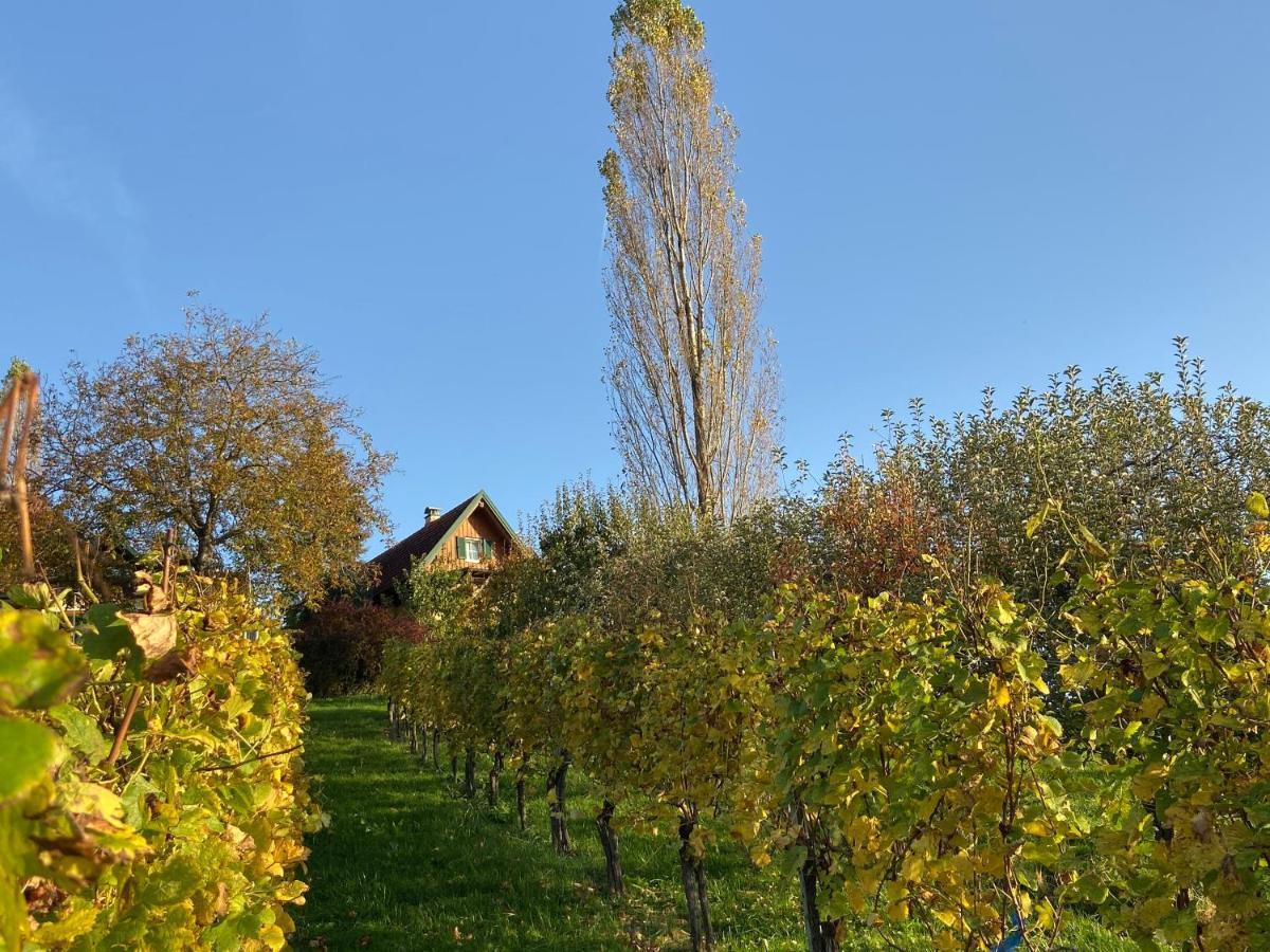 Ferienwohnungen Weingut Familie Danko กัมลิทซ์ ภายนอก รูปภาพ