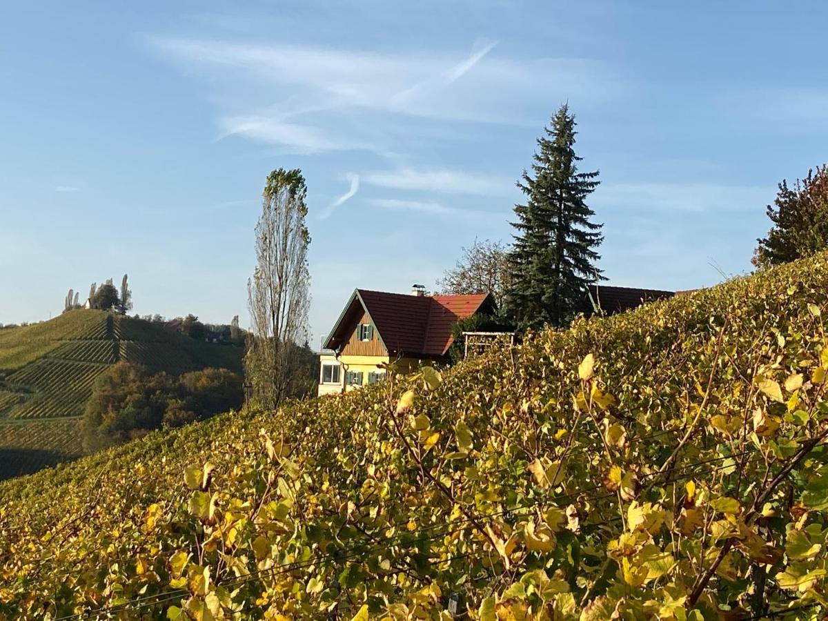 Ferienwohnungen Weingut Familie Danko กัมลิทซ์ ภายนอก รูปภาพ