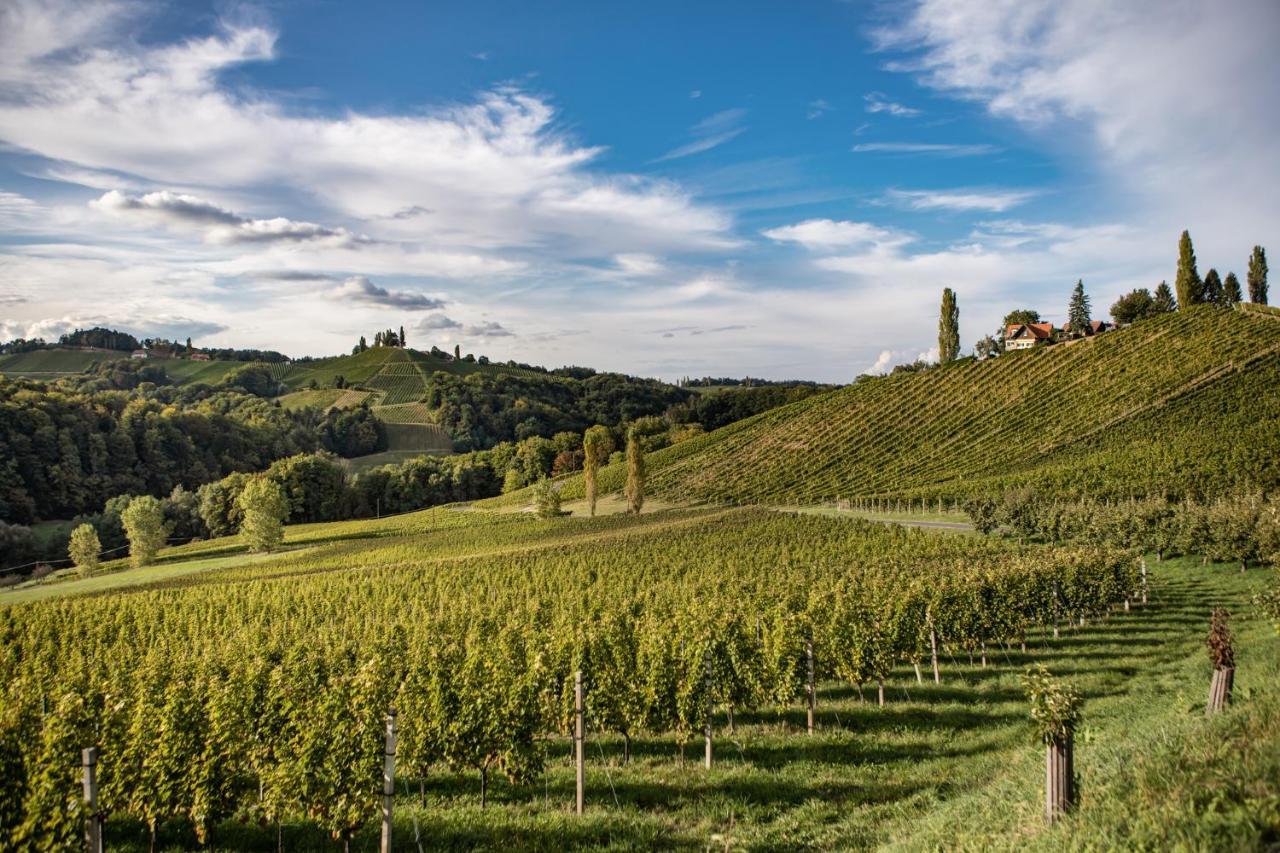 Ferienwohnungen Weingut Familie Danko กัมลิทซ์ ภายนอก รูปภาพ