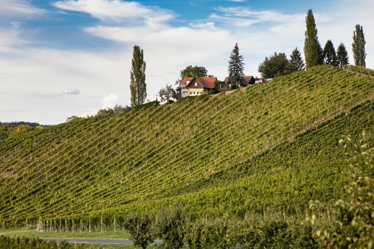 Ferienwohnungen Weingut Familie Danko กัมลิทซ์ ภายนอก รูปภาพ