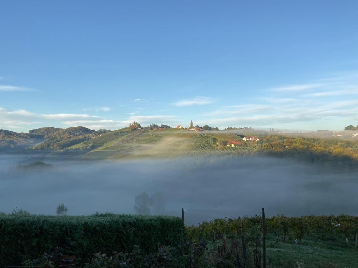 Ferienwohnungen Weingut Familie Danko กัมลิทซ์ ภายนอก รูปภาพ