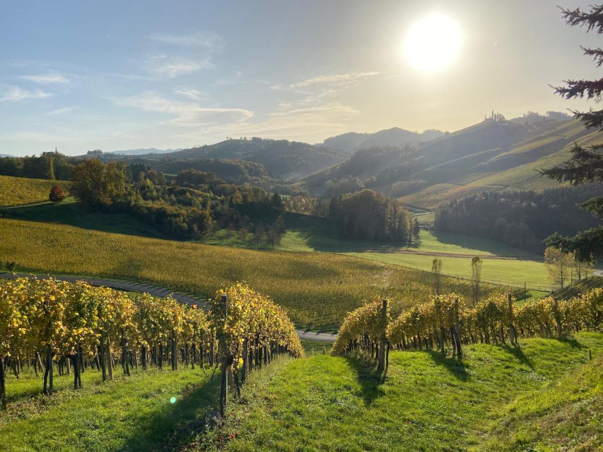 Ferienwohnungen Weingut Familie Danko กัมลิทซ์ ภายนอก รูปภาพ