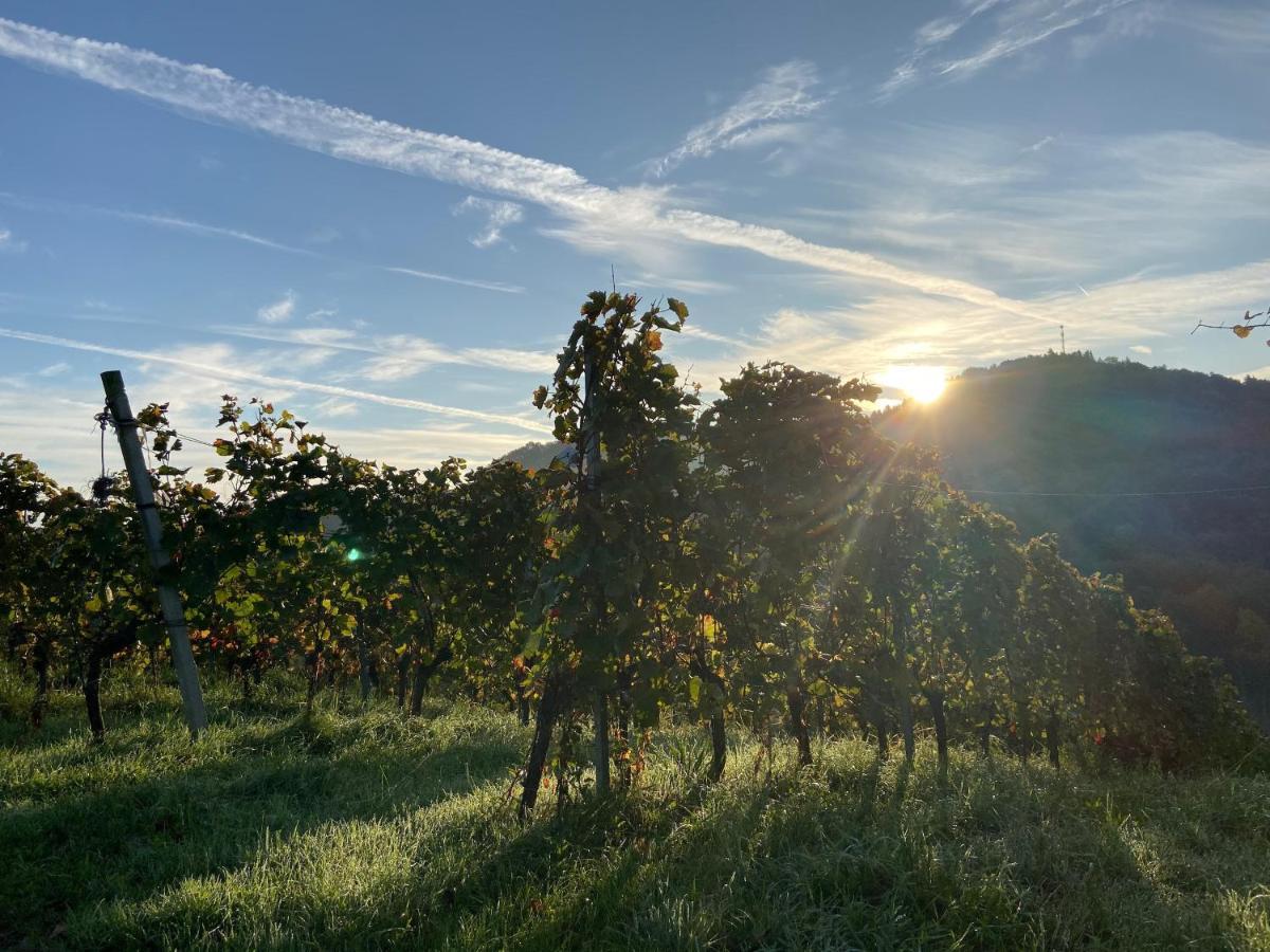 Ferienwohnungen Weingut Familie Danko กัมลิทซ์ ภายนอก รูปภาพ