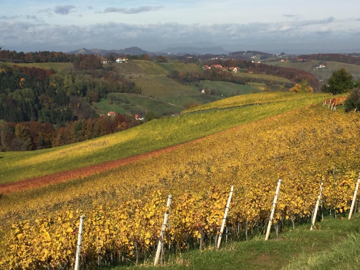 Ferienwohnungen Weingut Familie Danko กัมลิทซ์ ภายนอก รูปภาพ