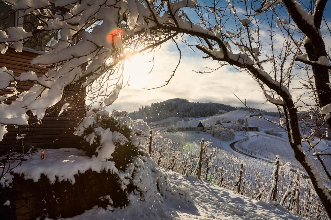 Ferienwohnungen Weingut Familie Danko กัมลิทซ์ ภายนอก รูปภาพ