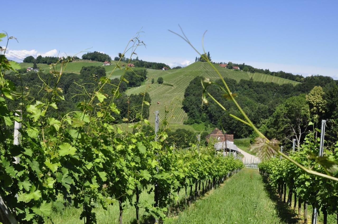 Ferienwohnungen Weingut Familie Danko กัมลิทซ์ ภายนอก รูปภาพ