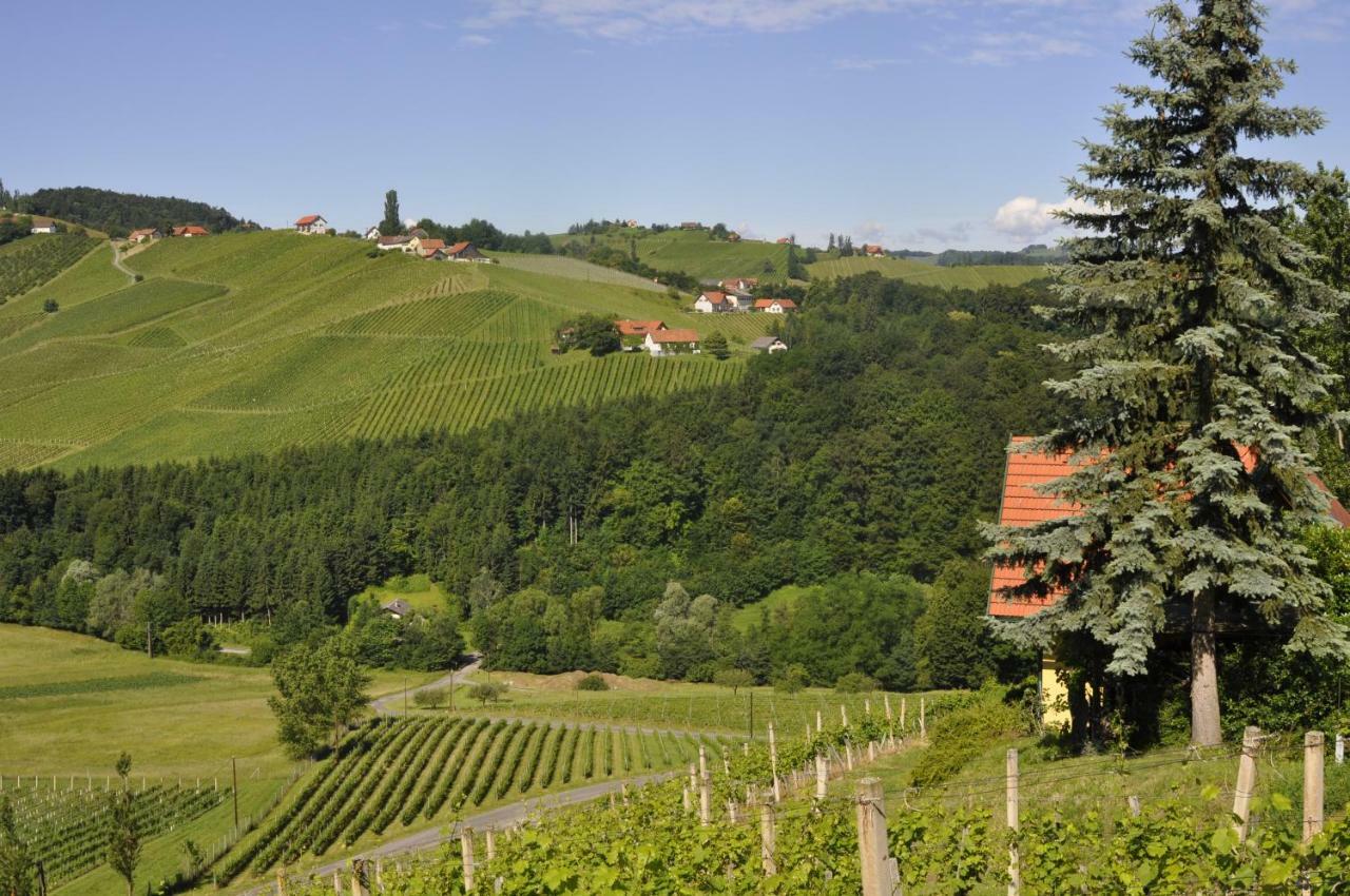 Ferienwohnungen Weingut Familie Danko กัมลิทซ์ ภายนอก รูปภาพ